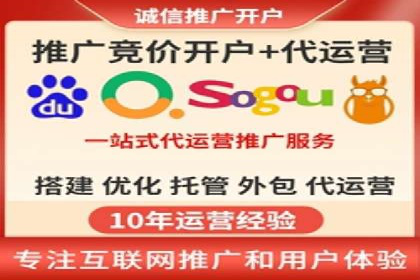某行业领军企业的SEM广告投放策略